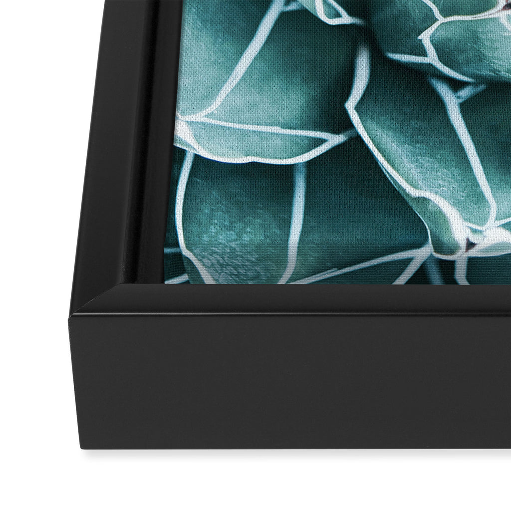 Succulent bloom Framed Canvas Print Gallery Image 3