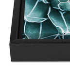 Succulent bloom Framed Canvas Print Gallery Image 3