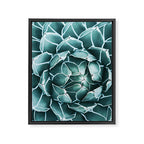 Succulent bloom Framed Canvas Print Gallery Image 8