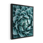 Succulent bloom Framed Canvas Print Gallery Image 2