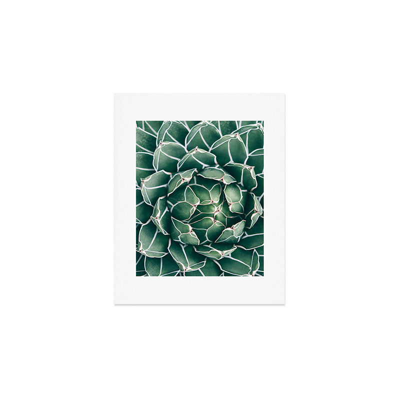Succulent bloom II Art Print Gallery Image 1