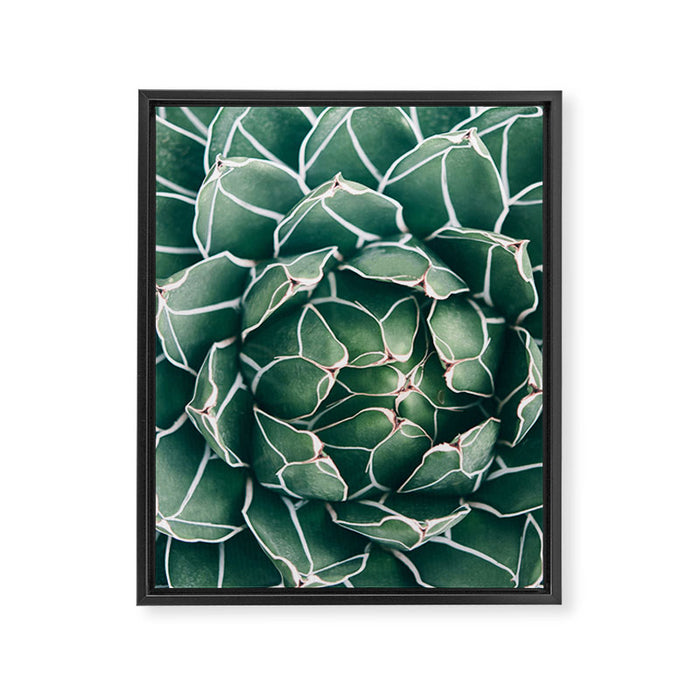 Succulent bloom II Framed Canvas Print Gallery Image 1