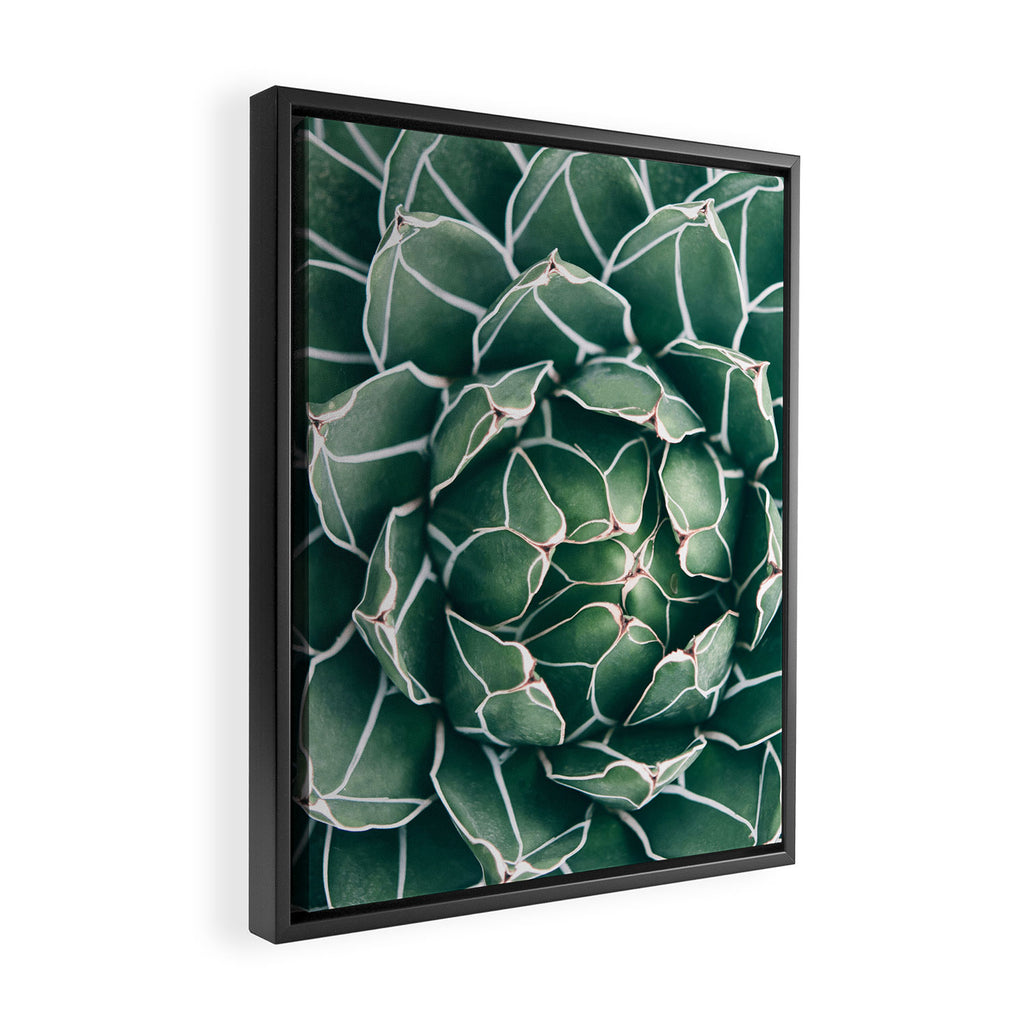 Succulent bloom II Framed Canvas Print Gallery Image 2