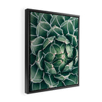 Succulent bloom II Framed Canvas Print Gallery Image 2