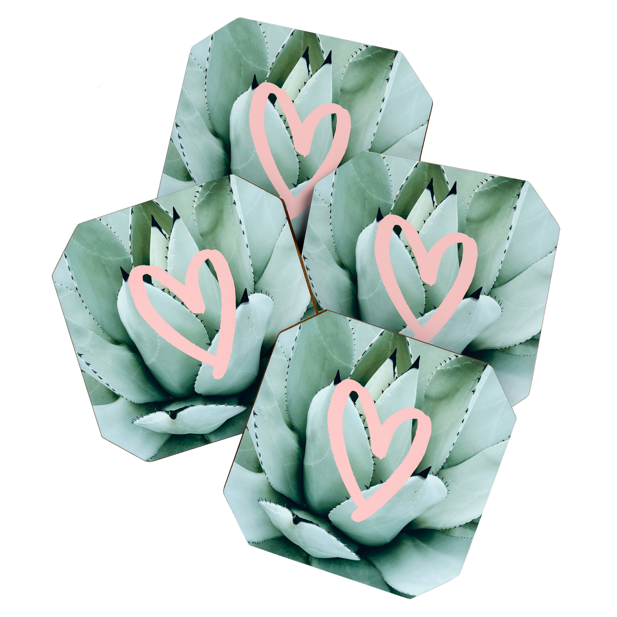Succulent love Coaster Gallery Image 1