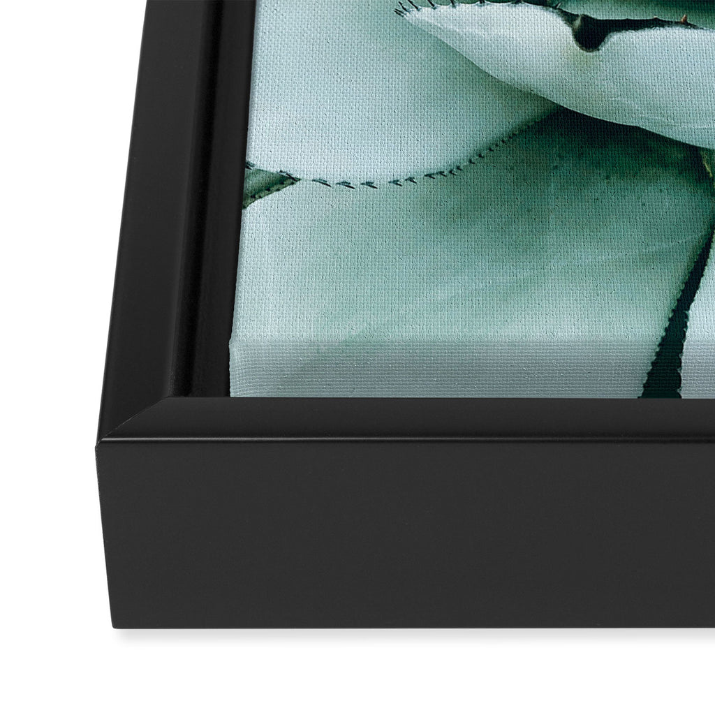 Succulent love Framed Canvas Print Gallery Image 3