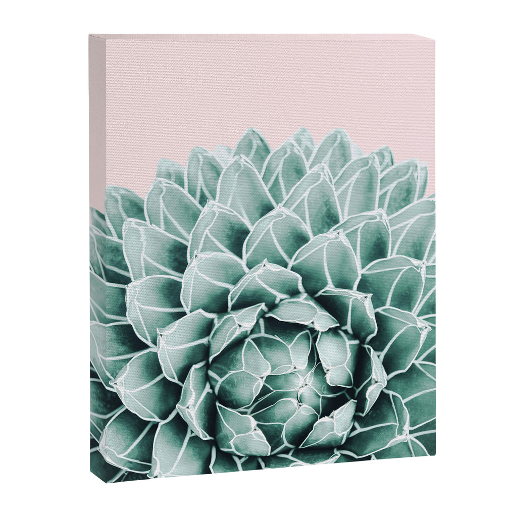 Succulent splendour - blush Canvas Print Gallery Image 6
