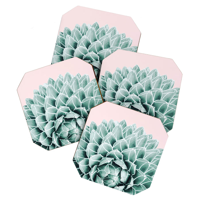 Succulent splendour - blush Coaster Gallery Image 1