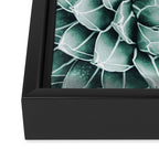 Succulent splendour - blush Framed Canvas Print Gallery Image 3