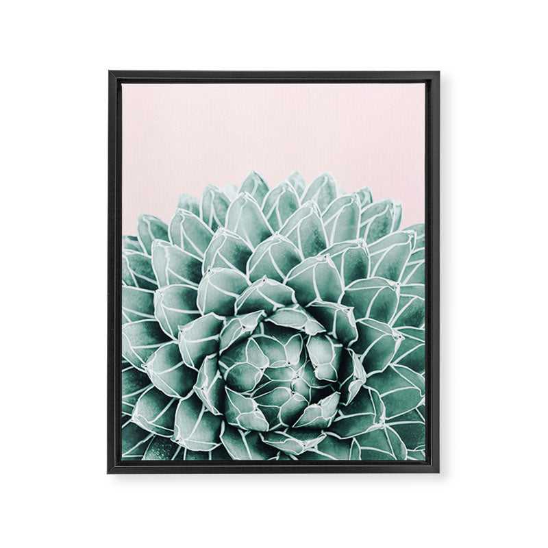 Succulent splendour - blush Framed Canvas Print Gallery Image 6