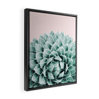 Succulent splendour - blush Framed Canvas Print Gallery Image 2