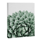 Succulent splendour Canvas Print Gallery Image 8