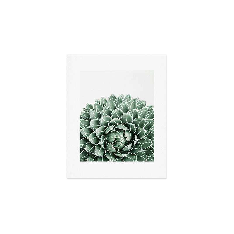 Succulent splendour Art Print Gallery Image 1