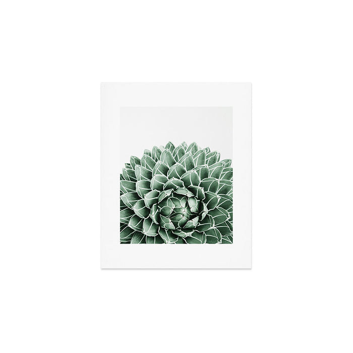 Succulent splendour Art Print Gallery Image 1