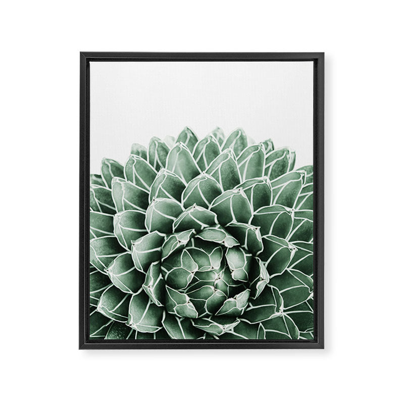 Succulent splendour Framed Canvas Print Gallery Image 8