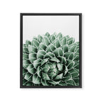 Succulent splendour Framed Canvas Print Gallery Image 8