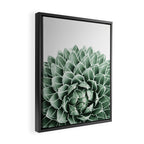 Succulent splendour Framed Canvas Print Gallery Image 2