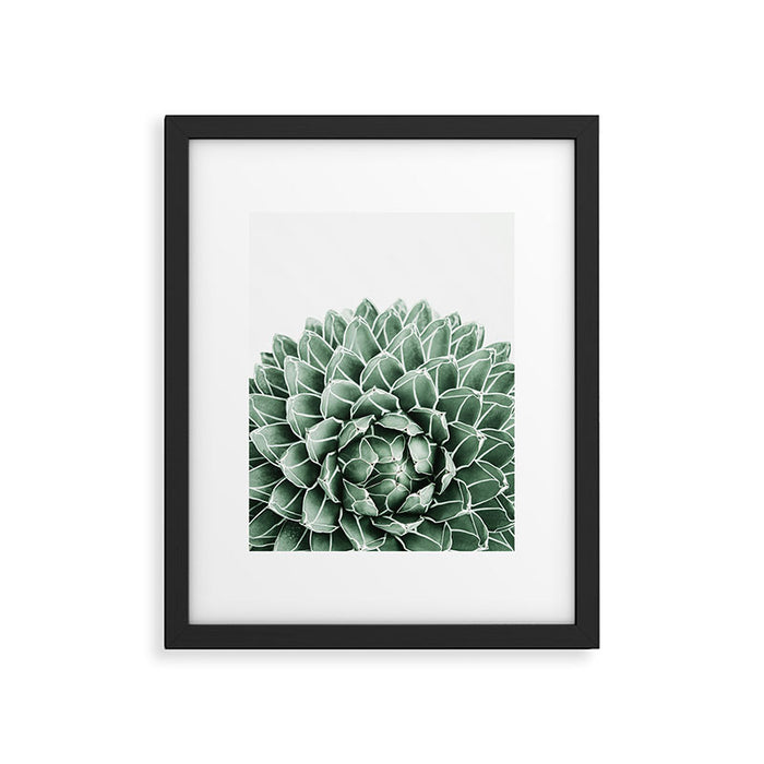 Succulent splendour Framed Art Print Gallery Image 1