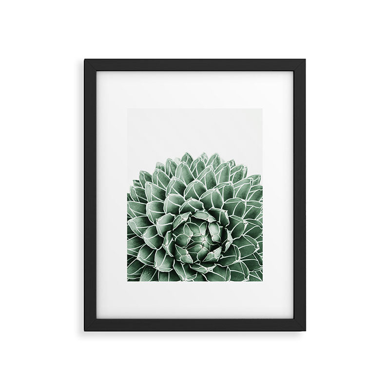 Succulent splendour Framed Art Print Gallery Image 4
