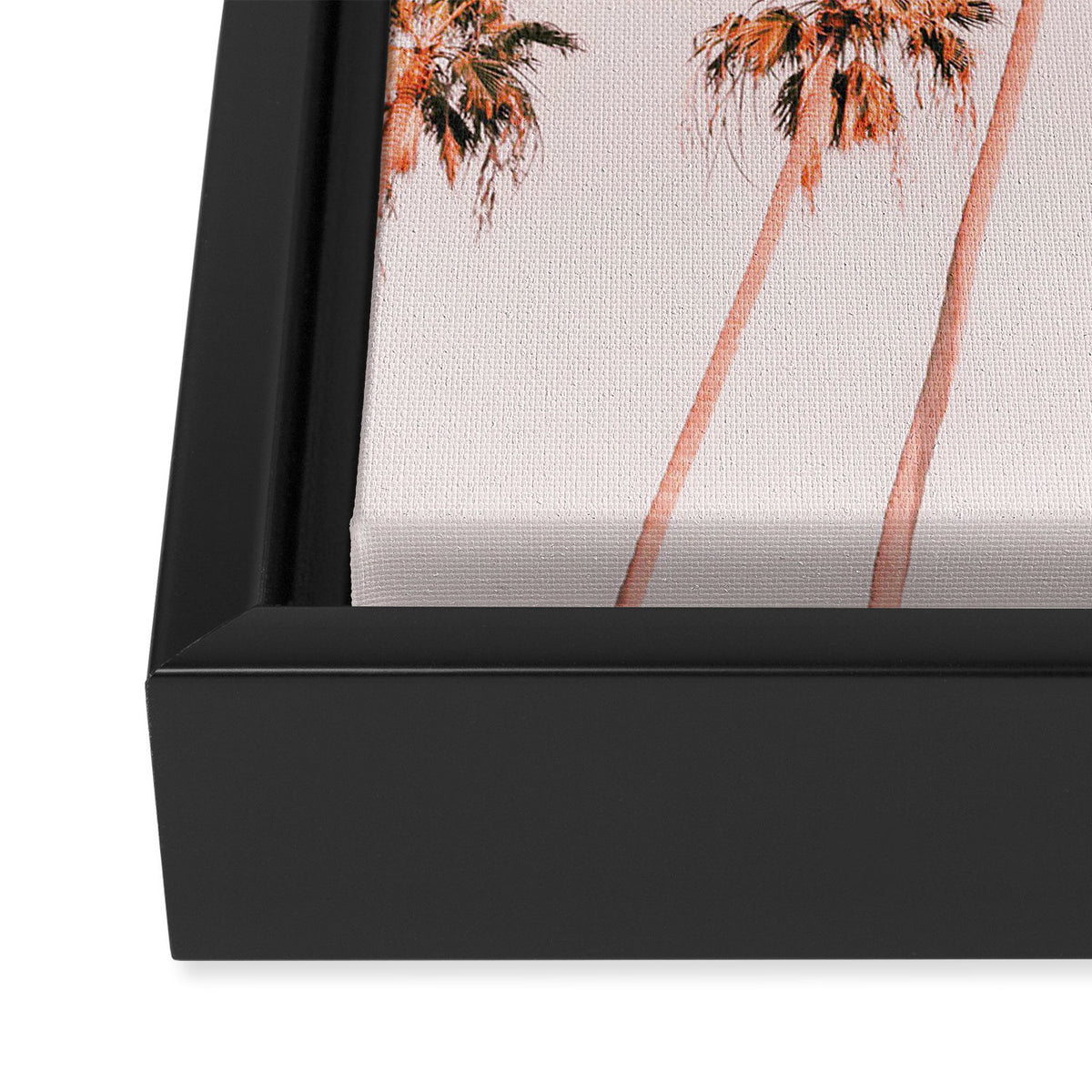 Summer Palms Framed Canvas Print Gallery Image 3