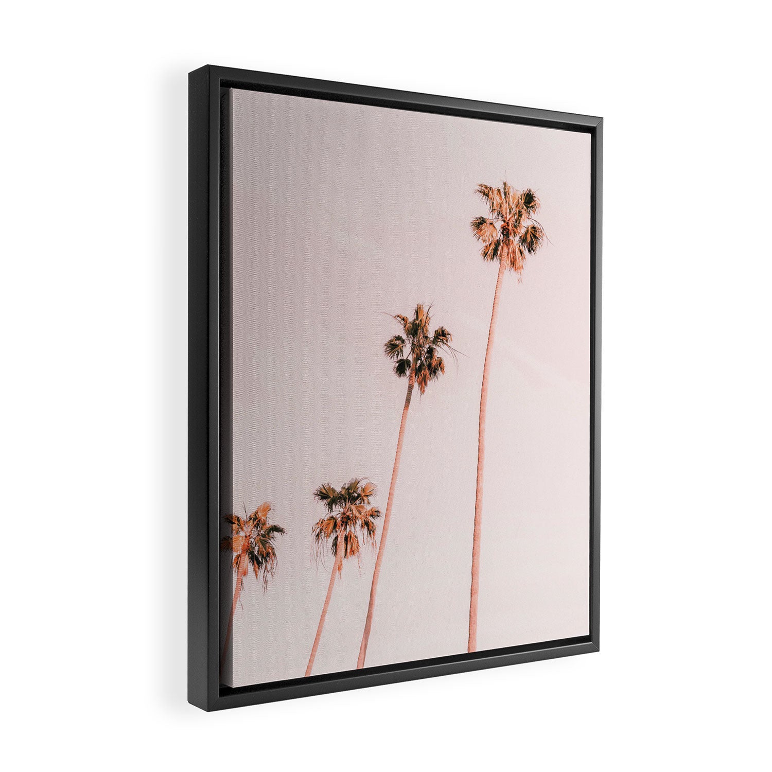 Summer Palms Framed Canvas Print Gallery Image 2