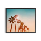 Sundowner Framed Canvas Print Gallery Image 12