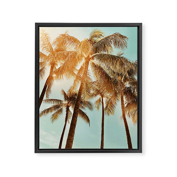 Surfrider palms Framed Canvas Print Gallery Image 1