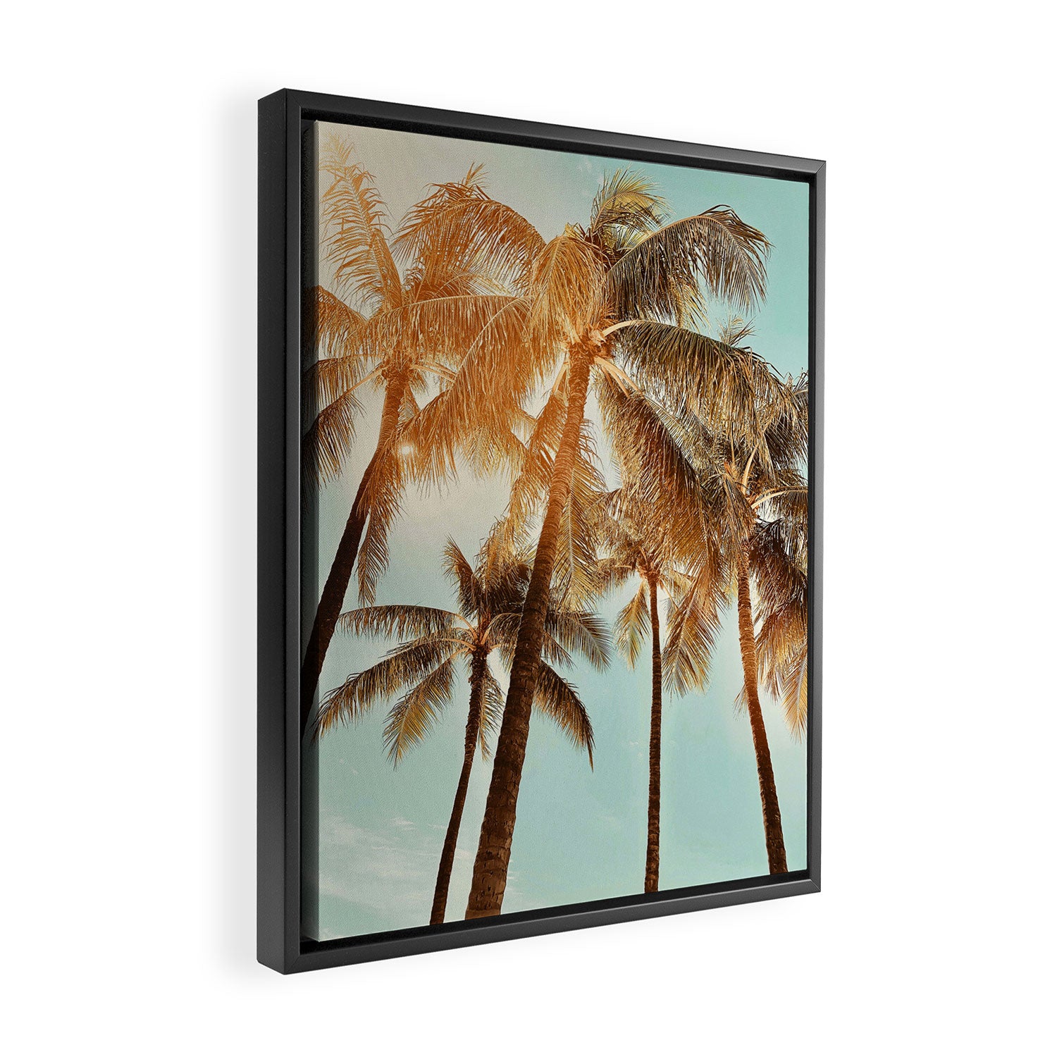 Surfrider palms Framed Canvas Print Gallery Image 2