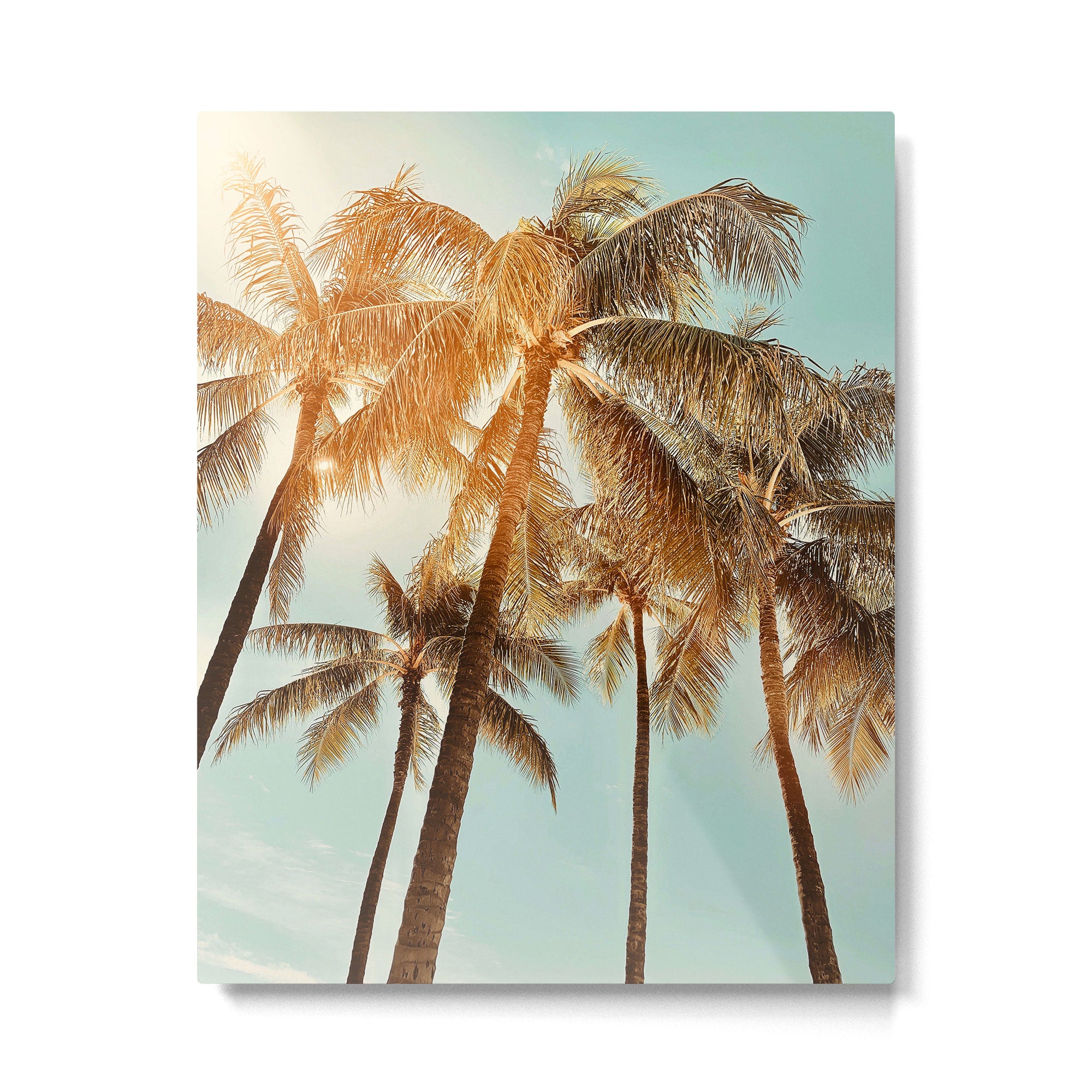 Surfrider palms Metal Print Gallery Image 6
