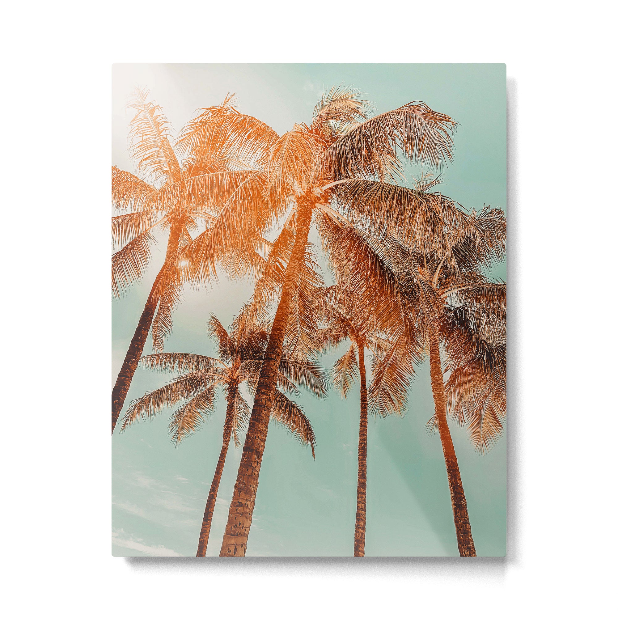 Surfrider palms - sundown Metal Print Gallery Image 6