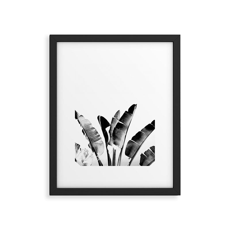Traveler palm - bw Framed Art Print Gallery Image 6