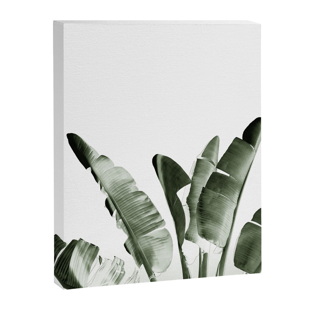 Traveler palm Canvas Print Gallery Image 8