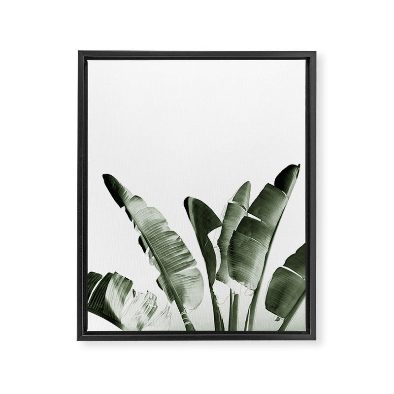 Traveler palm Framed Canvas Print Gallery Image 8