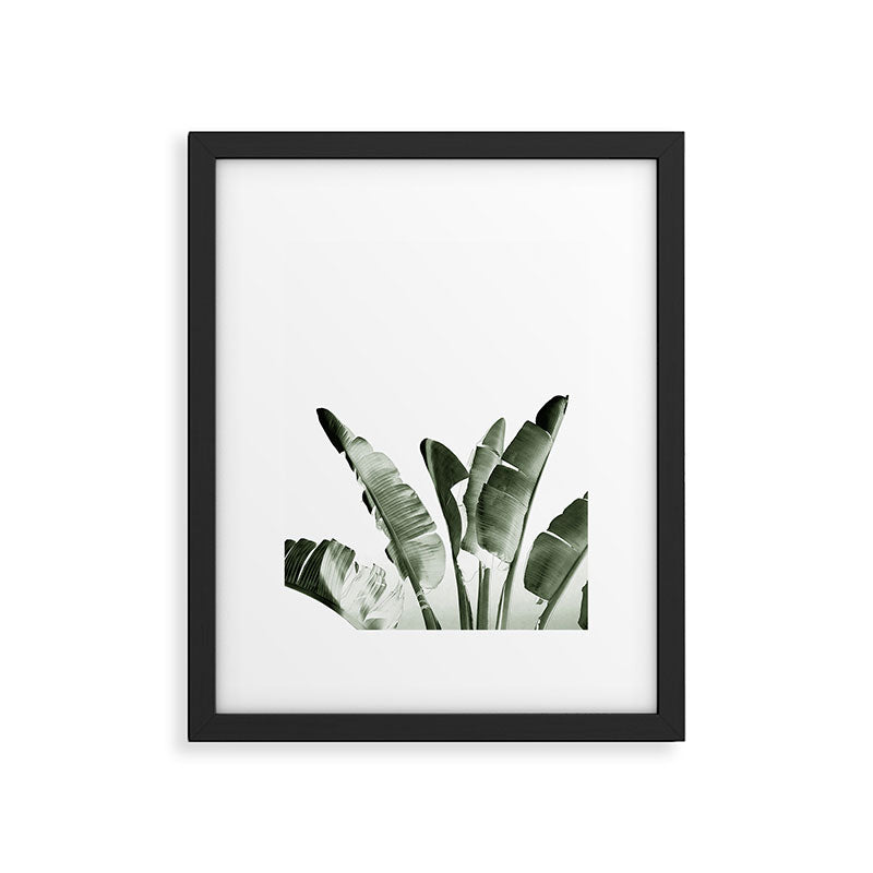 Traveler palm Framed Art Print Gallery Image 4