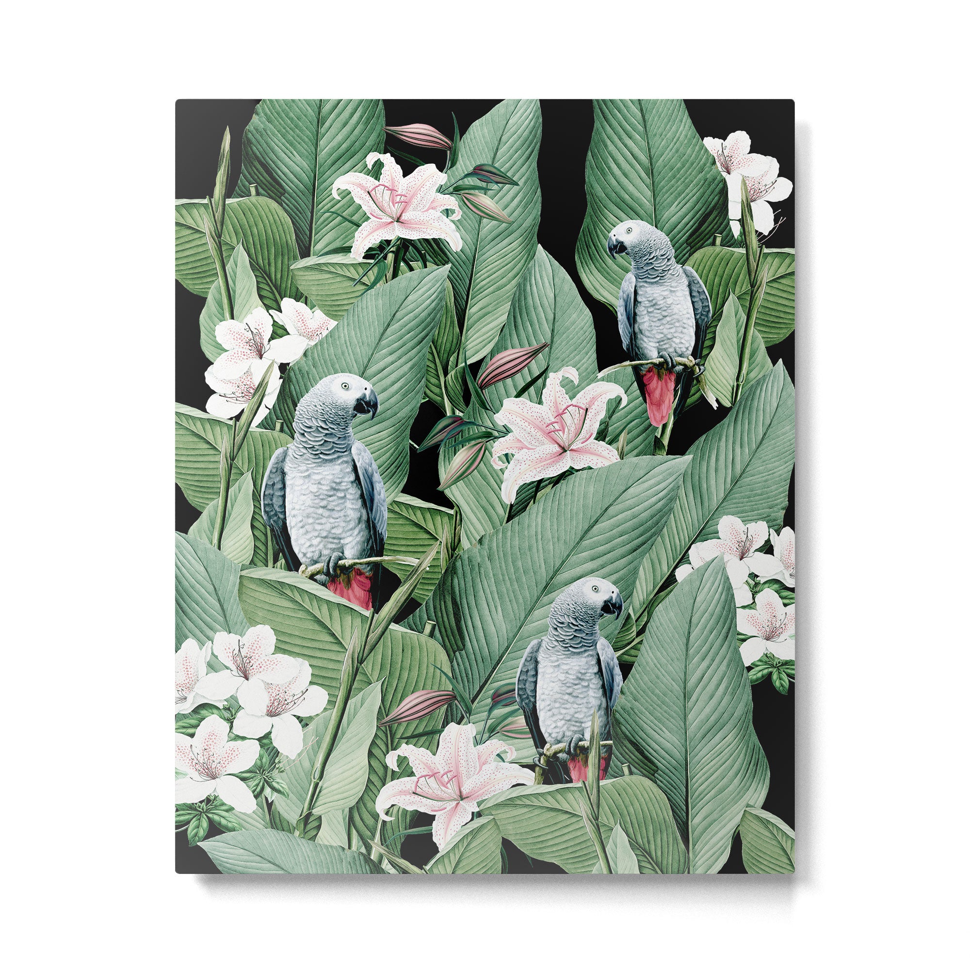 Tropical flight Metal Print Gallery Image 6