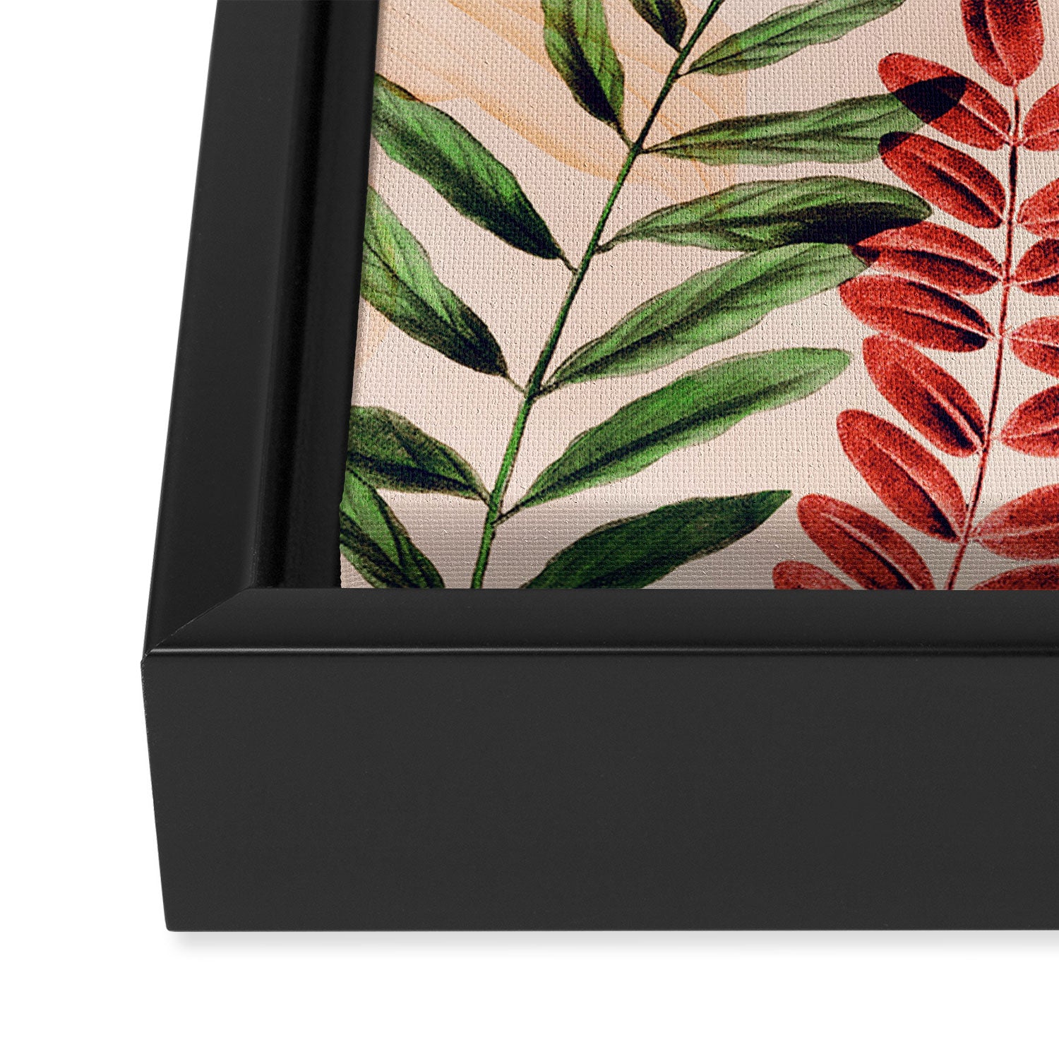 Tropical Rainforest Framed Canvas Print Gallery Image 3