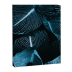 Unbridled - teal Canvas Print Gallery Image 8