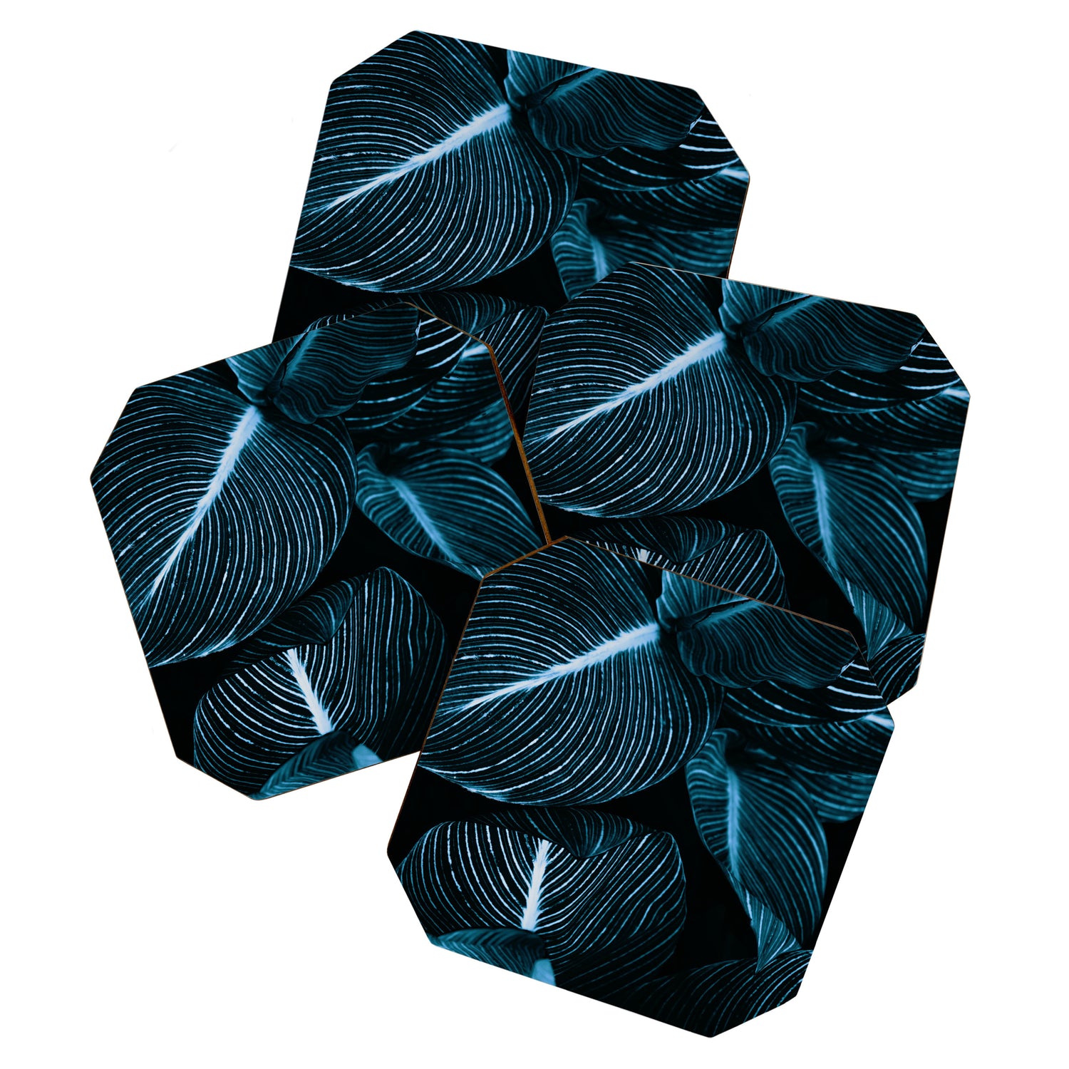 Unbridled - teal Coaster Gallery Image 1
