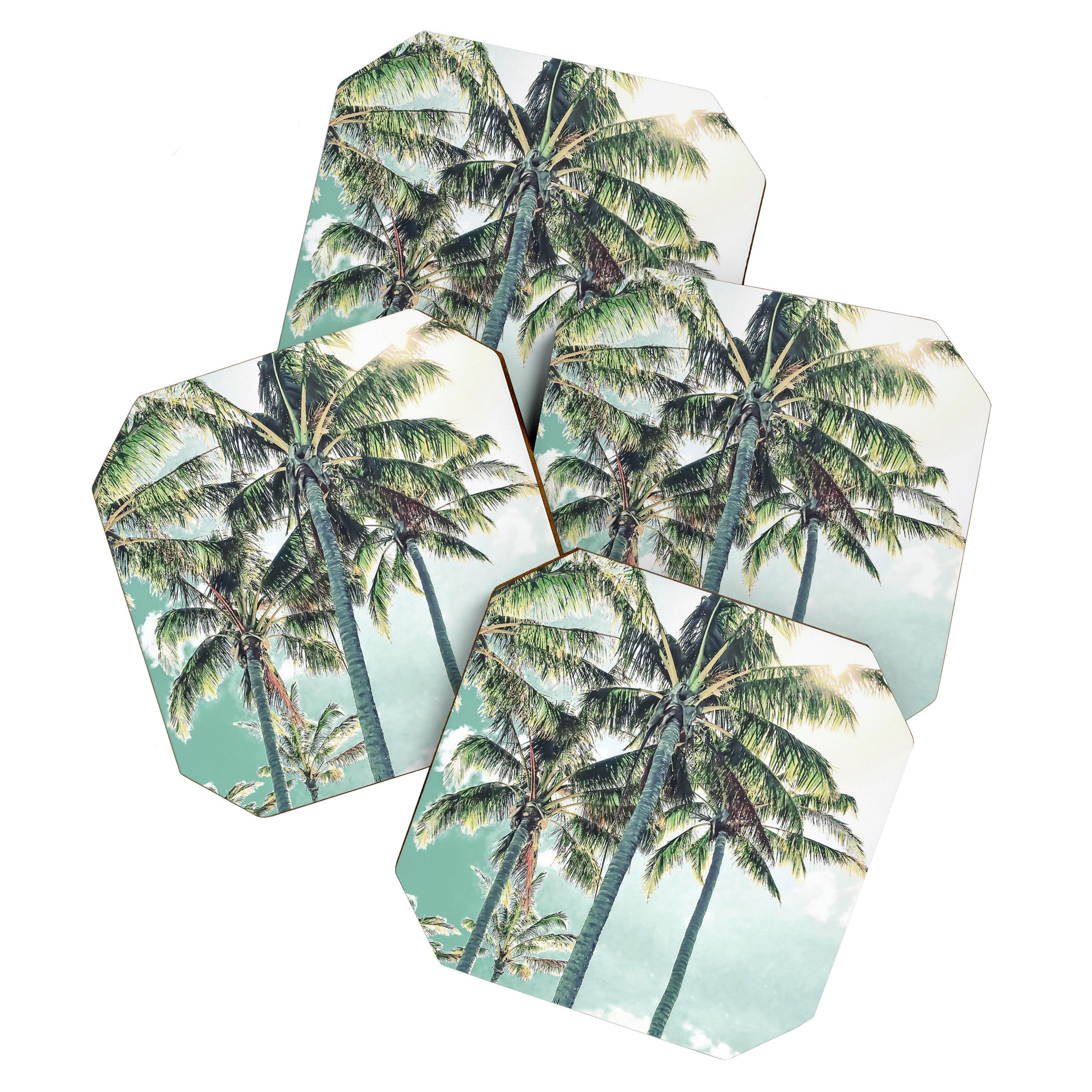 Under the palms Coaster Gallery Image 1