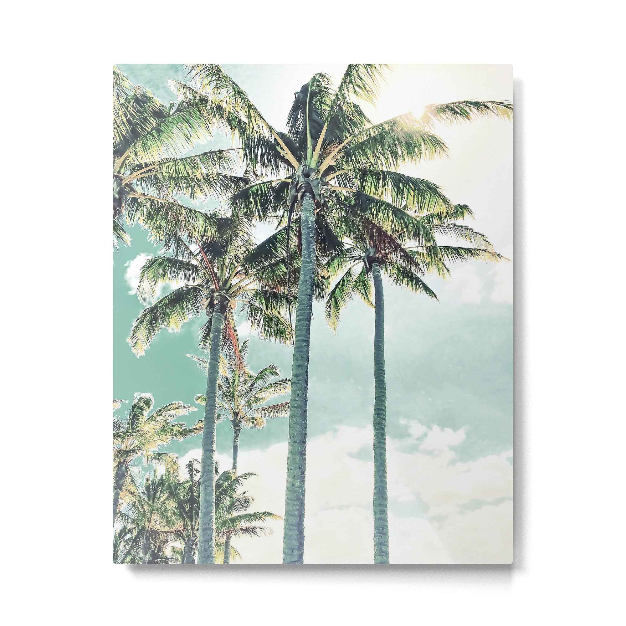 Under the palms Metal Print Gallery Image 6