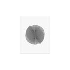 Black & White Mid Century Modern Radiating Lines Geometric Abstract Art Print Gallery Image 1