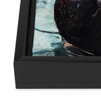 Black Swan Watercolor Framed Canvas Print Gallery Image 3