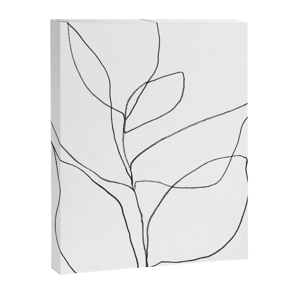 Minimalist Line Art Plant Drawing Canvas Print Gallery Image 6