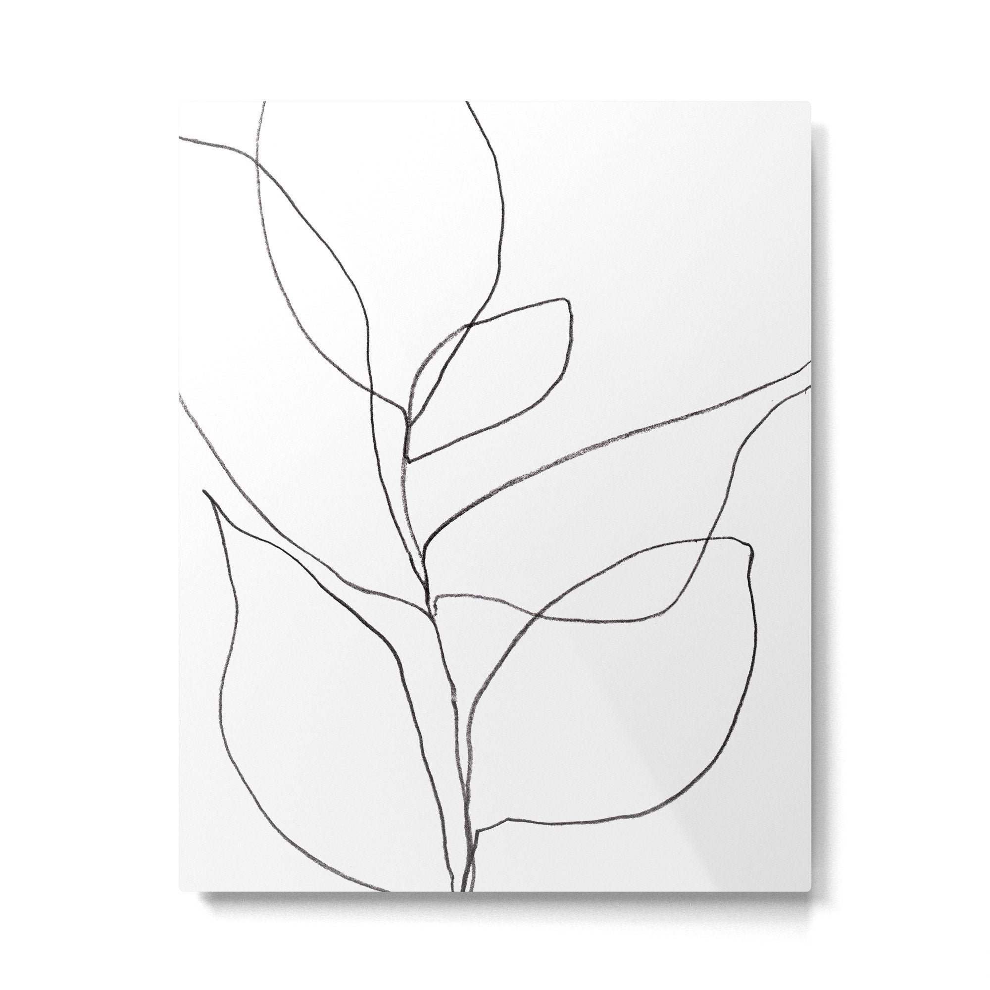 Minimalist Line Art Plant Drawing Metal Print Gallery Image 4