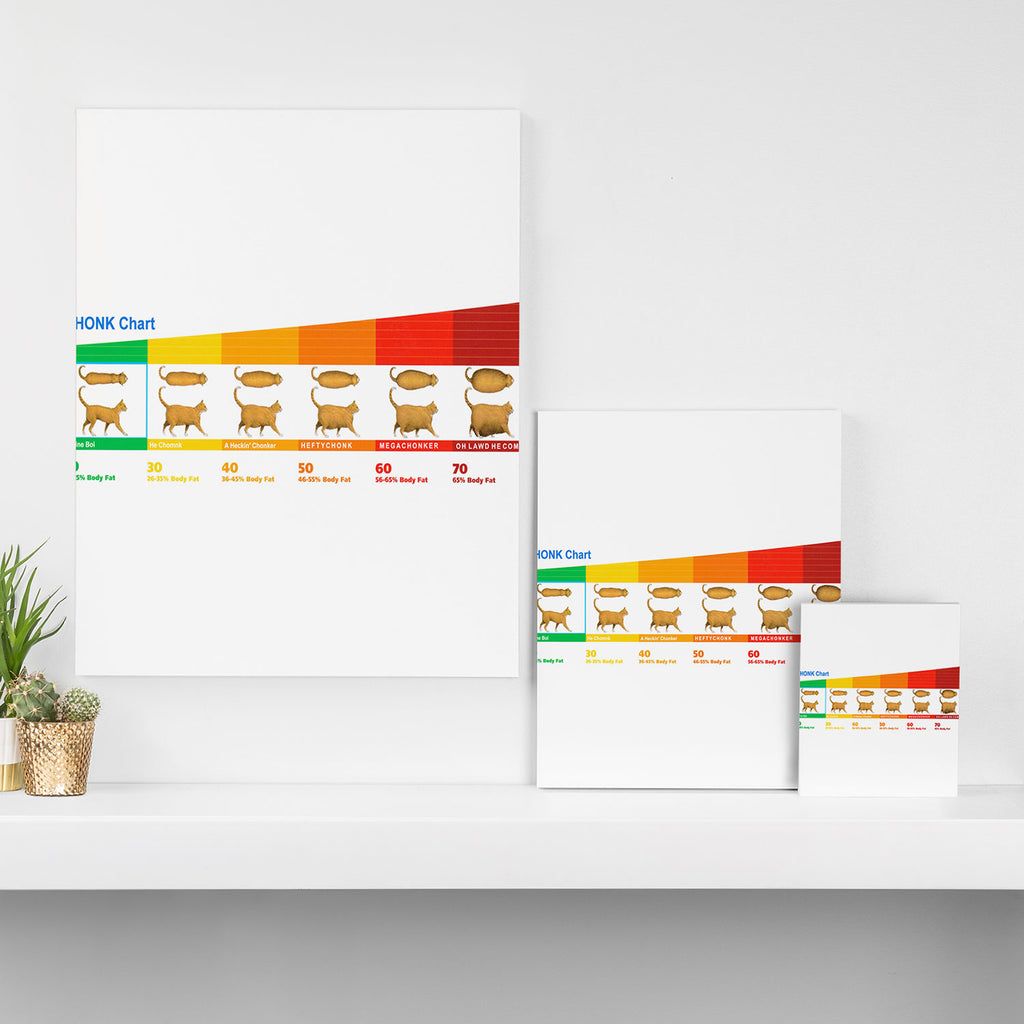Cat CHONK Chart Meme Canvas Print Gallery Image 3