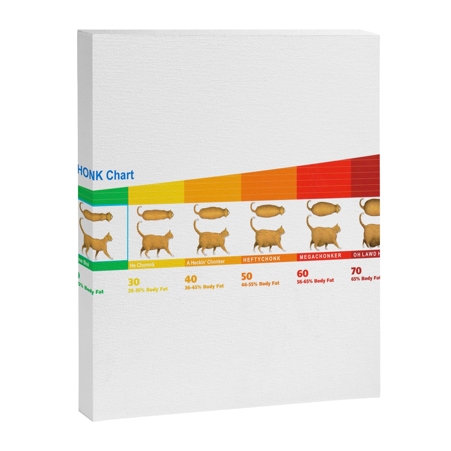 Cat CHONK Chart Meme Canvas Print Gallery Image 3