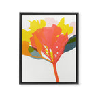 alstroemeria 19 Framed Canvas Print Gallery Image 8