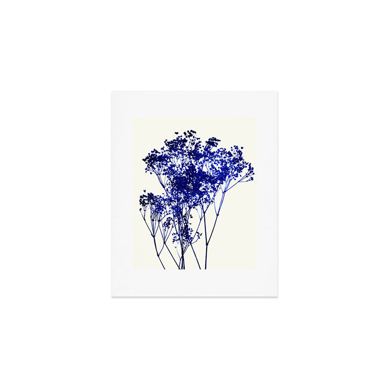 babys breath 1 Art Print Gallery Image 1