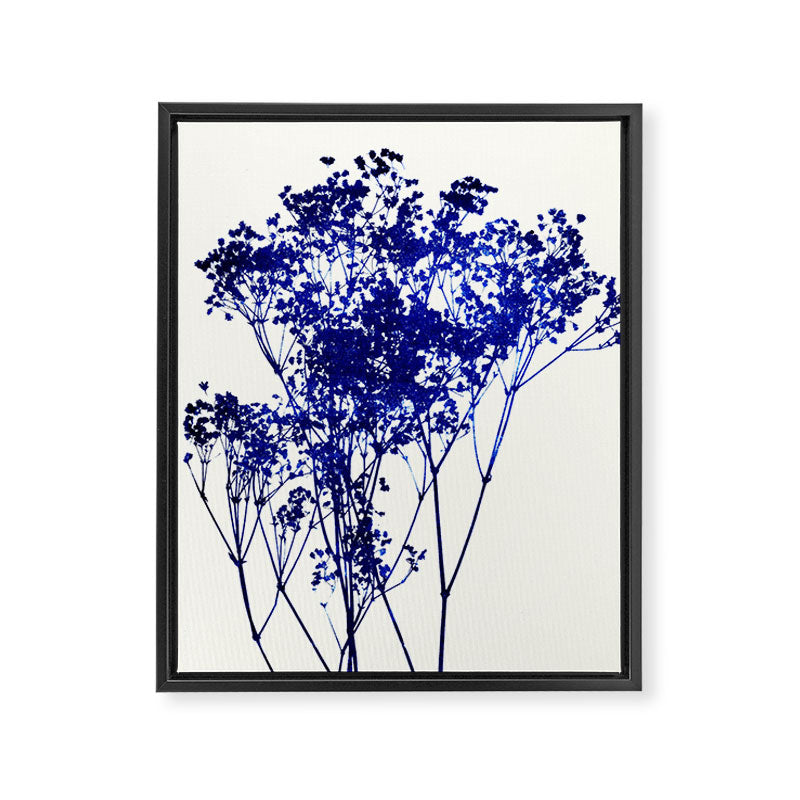 babys breath 1 Framed Canvas Print Gallery Image 8