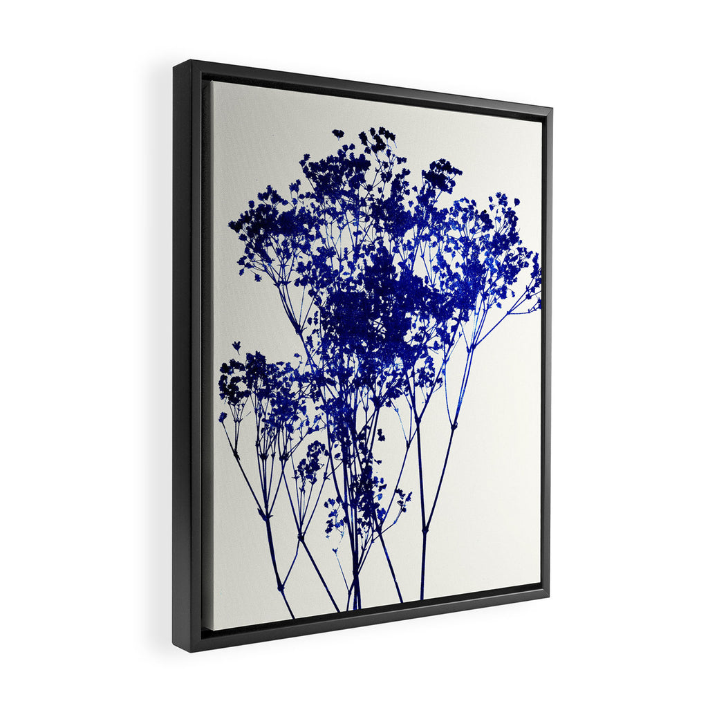 babys breath 1 Framed Canvas Print Gallery Image 2